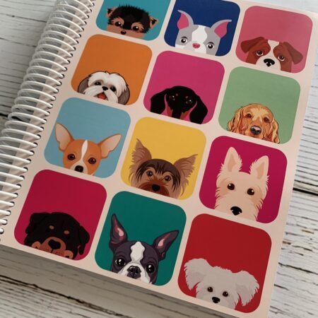 Docente de Grado SEMANAL Box