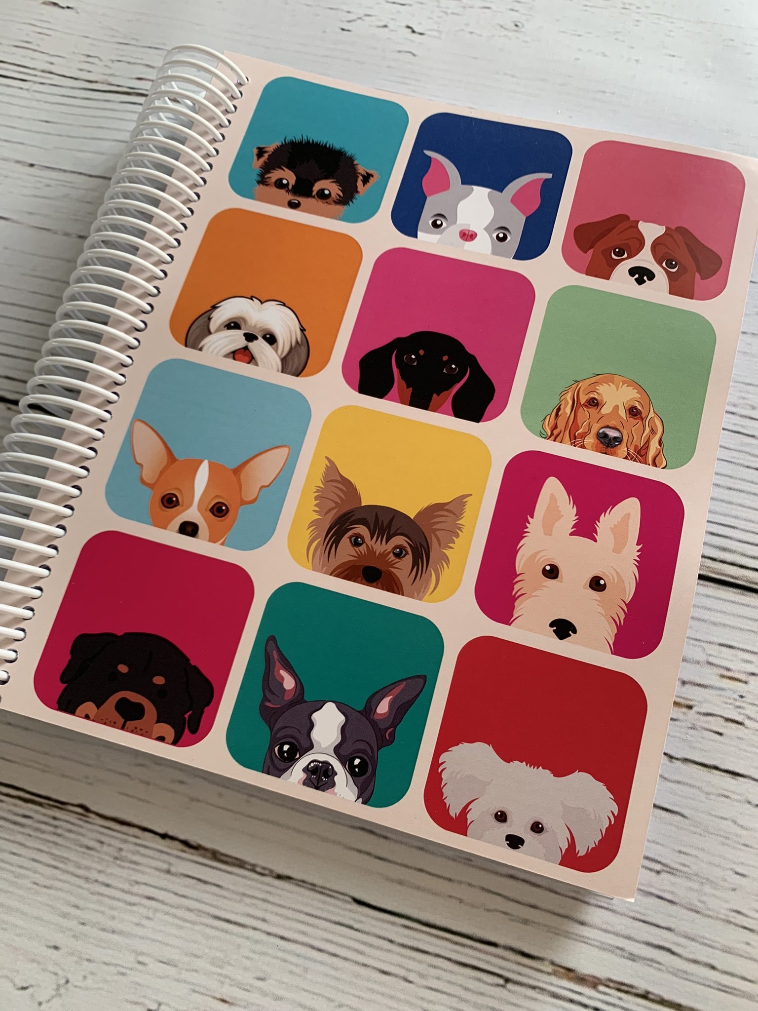 Docente de Grado SEMANAL Box