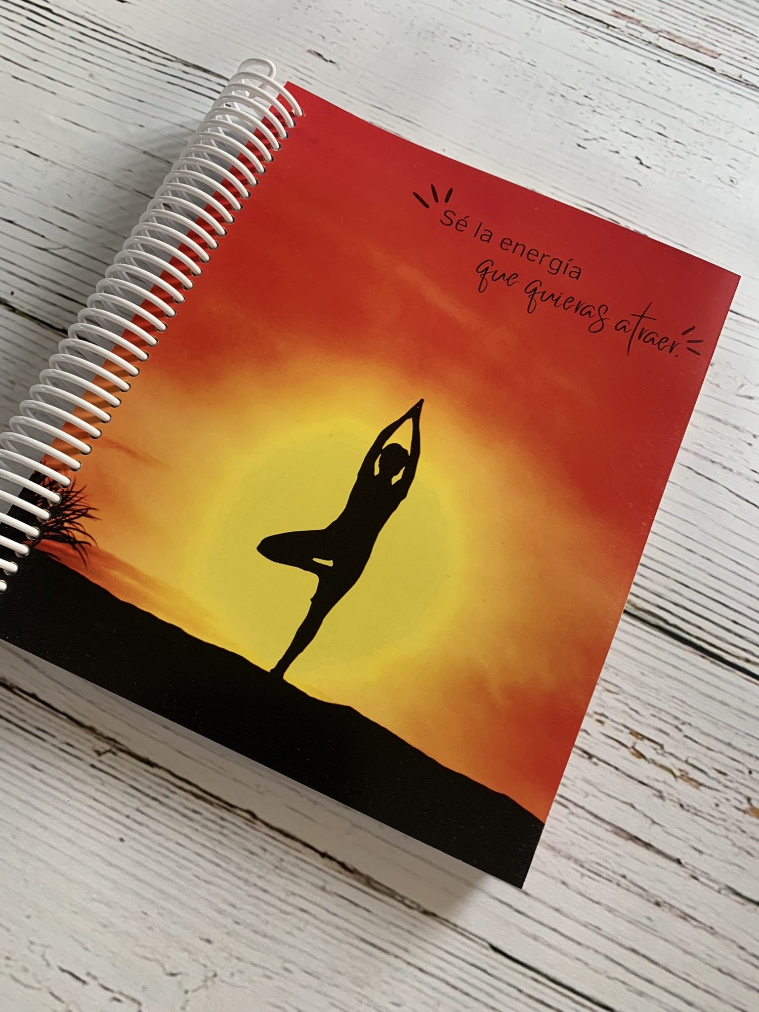 Docentes Nivel Incial MENSUAL (copia)